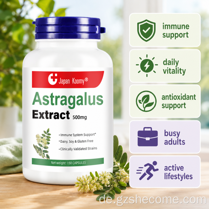 Shecome Astragalus-Ergänzungsmittel für Erwachsene verbessern die Immunität